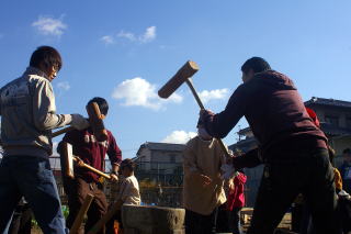 �p���t���I���Ƃ��������