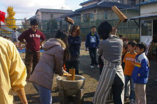 �������������